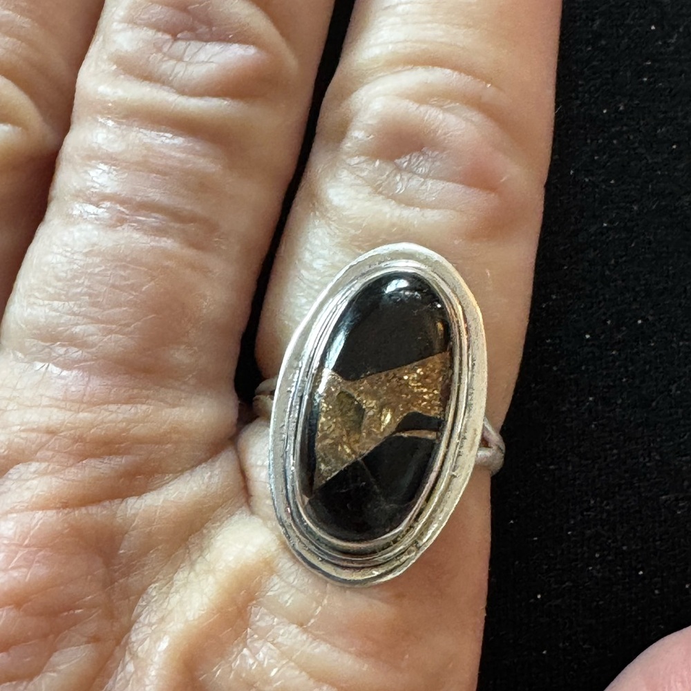 Elegant Silver and Onyx Stone Ring